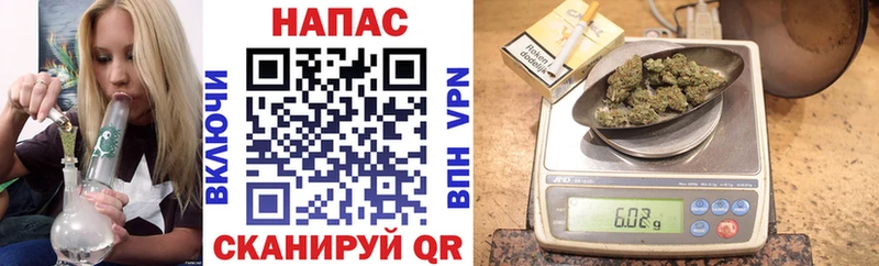 мориарти клад продажа наркотиков ссылка на мегу зеркало Краснослободск Шишки марихуана White Widow